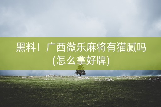 黑料！广西微乐麻将有猫腻吗(怎么拿好牌)