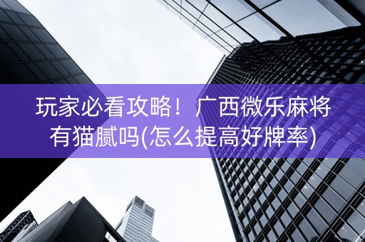 玩家必看攻略！广西微乐麻将有猫腻吗(怎么提高好牌率)