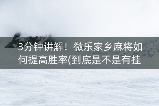 3分钟讲解！微乐家乡麻将如何提高胜率(到底是不是有挂)