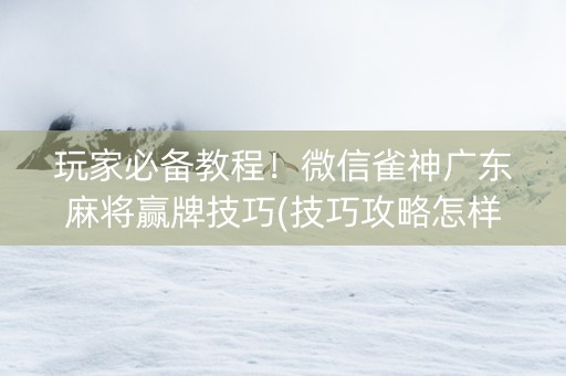 玩家必备教程！微信雀神广东麻将赢牌技巧(技巧攻略怎样拿好牌)
