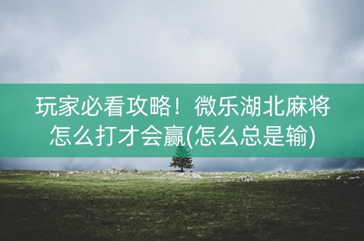 玩家必看攻略！微乐湖北麻将怎么打才会赢(怎么总是输)