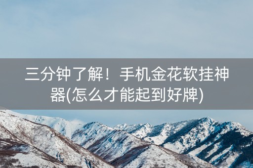 三分钟了解！手机金花软挂神器(怎么才能起到好牌)