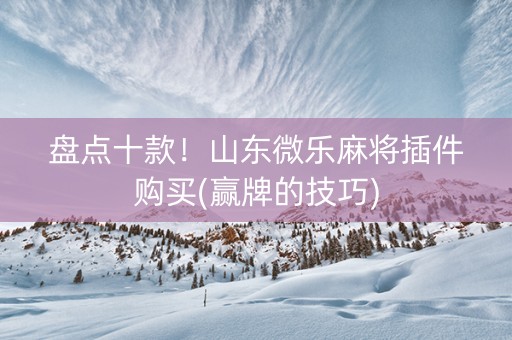 盘点十款！山东微乐麻将插件购买(赢牌的技巧)