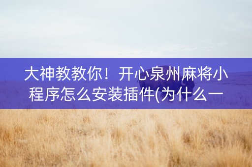 大神教教你！开心泉州麻将小程序怎么安装插件(为什么一直输)