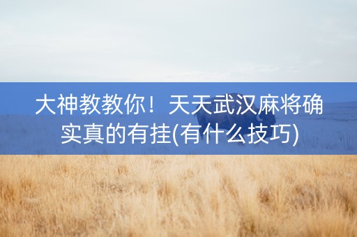 大神教教你！天天武汉麻将确实真的有挂(有什么技巧)