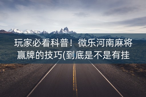 玩家必看科普！微乐河南麻将赢牌的技巧(到底是不是有挂)