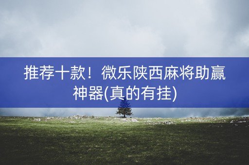 推荐十款！微乐陕西麻将助赢神器(真的有挂)