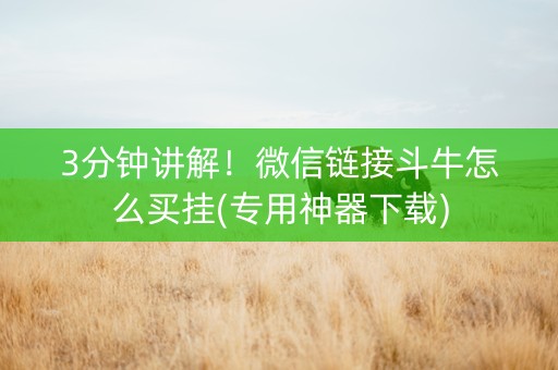 3分钟讲解！微信链接斗牛怎么买挂(专用神器下载)