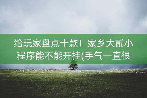 给玩家盘点十款！家乡大贰小程序能不能开挂(手气一直很差)
