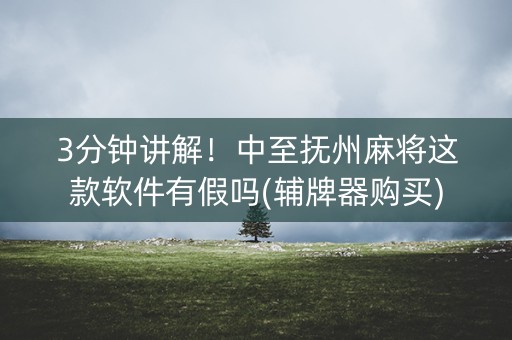 3分钟讲解！中至抚州麻将这款软件有假吗(辅牌器购买)