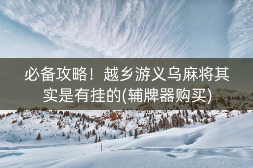 必备攻略！越乡游义乌麻将其实是有挂的(辅牌器购买)