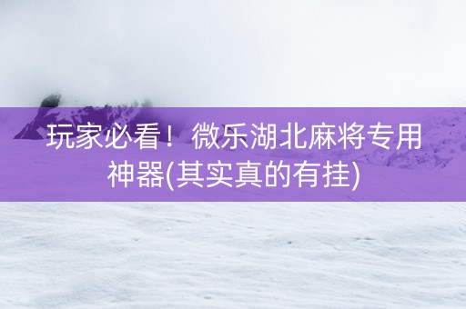 玩家必看！微乐湖北麻将专用神器(其实真的有挂)