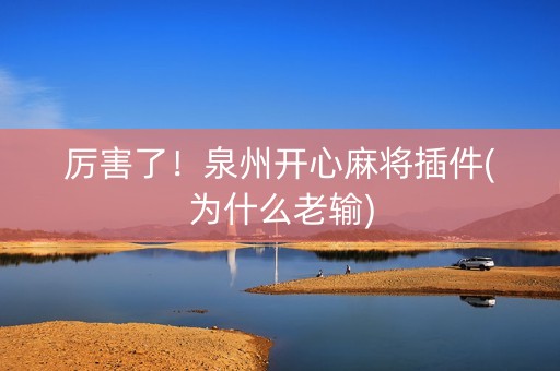 厉害了！泉州开心麻将插件(为什么老输)