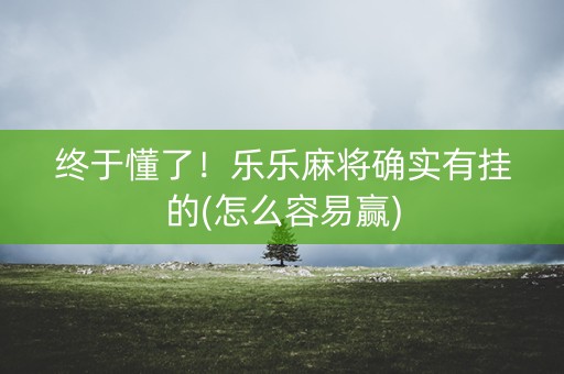 终于懂了！乐乐麻将确实有挂的(怎么容易赢)