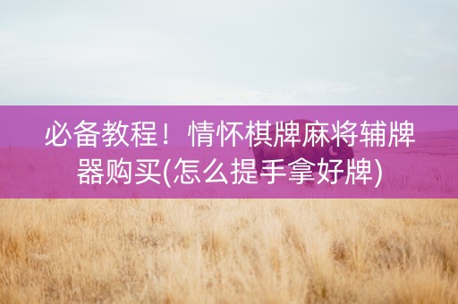 必备教程！情怀棋牌麻将辅牌器购买(怎么提手拿好牌)