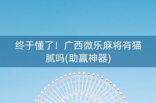 终于懂了！广西微乐麻将有猫腻吗(助赢神器)