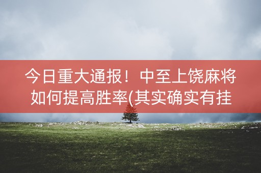 今日重大通报！中至上饶麻将如何提高胜率(其实确实有挂)