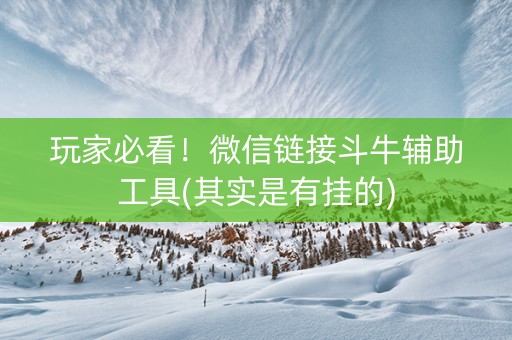 玩家必看！微信链接斗牛辅助工具(其实是有挂的)