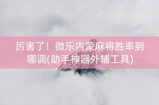 厉害了！微乐内蒙麻将胜率到哪调(助手神器外辅工具)