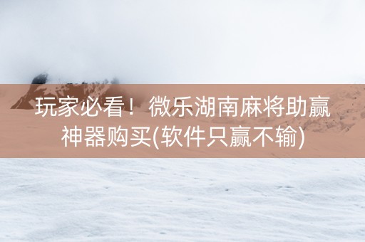 玩家必看！微乐湖南麻将助赢神器购买(软件只赢不输)