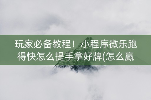 玩家必备教程！小程序微乐跑得快怎么提手拿好牌(怎么赢得多)