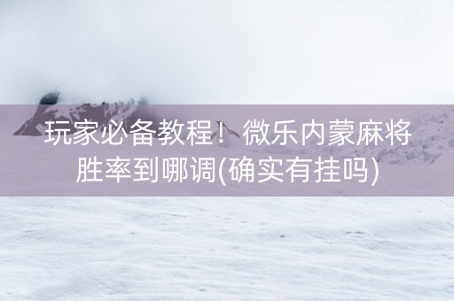 玩家必备教程！微乐内蒙麻将胜率到哪调(确实有挂吗)