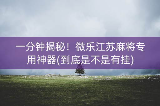 一分钟揭秘！微乐江苏麻将专用神器(到底是不是有挂)