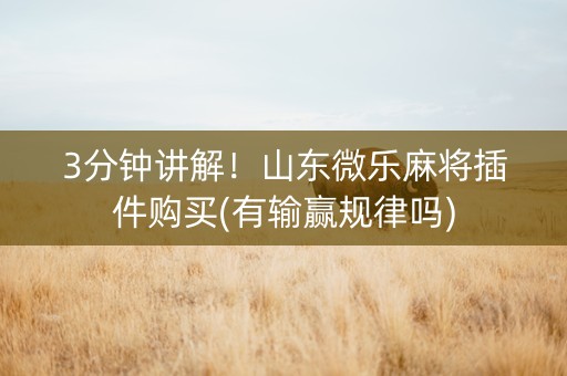 3分钟讲解！山东微乐麻将插件购买(有输赢规律吗)