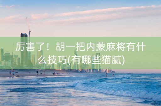 厉害了！胡一把内蒙麻将有什么技巧(有哪些猫腻)