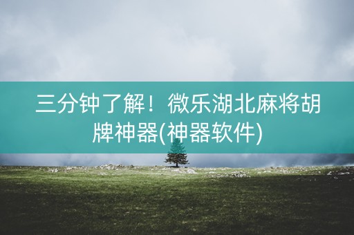 三分钟了解！微乐湖北麻将胡牌神器(神器软件)