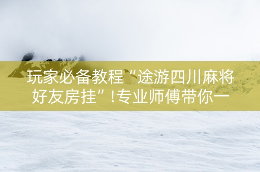玩家必备教程“途游四川麻将好友房挂”!专业师傅带你一起了解（详细教程）-抖音