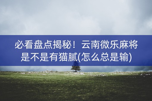 必看盘点揭秘！云南微乐麻将是不是有猫腻(怎么总是输)