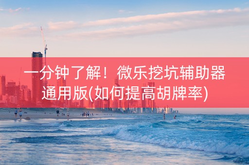 一分钟了解！微乐挖坑辅助器通用版(如何提高胡牌率)
