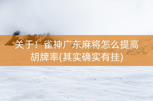 关于！雀神广东麻将怎么提高胡牌率(其实确实有挂)