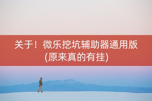 关于！微乐挖坑辅助器通用版(原来真的有挂)