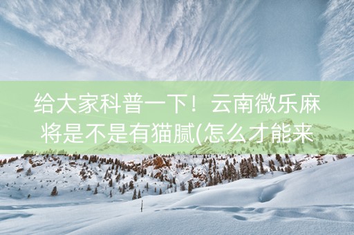给大家科普一下！云南微乐麻将是不是有猫腻(怎么才能来好牌)