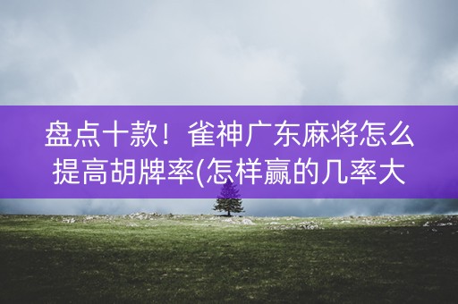 盘点十款！雀神广东麻将怎么提高胡牌率(怎样赢的几率大)
