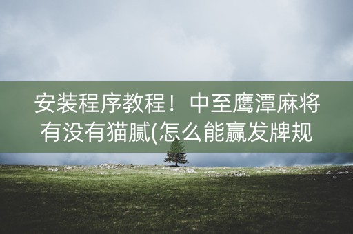 安装程序教程！中至鹰潭麻将有没有猫腻(怎么能赢发牌规律)
