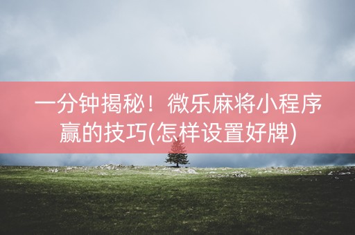 一分钟揭秘！微乐麻将小程序赢的技巧(怎样设置好牌)