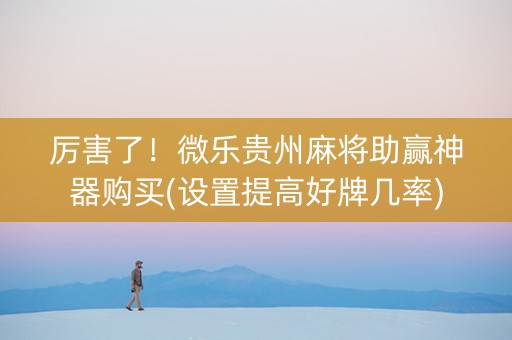 厉害了！微乐贵州麻将助赢神器购买(设置提高好牌几率)