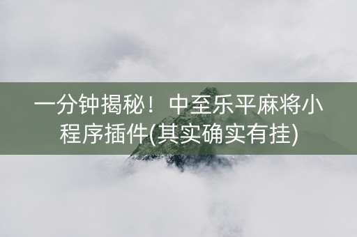 一分钟揭秘！中至乐平麻将小程序插件(其实确实有挂)
