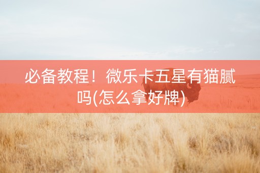 必备教程！微乐卡五星有猫腻吗(怎么拿好牌)