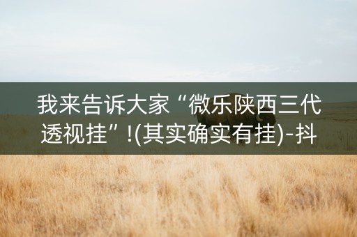 我来告诉大家“微乐陕西三代透视挂”!(其实确实有挂)-抖音