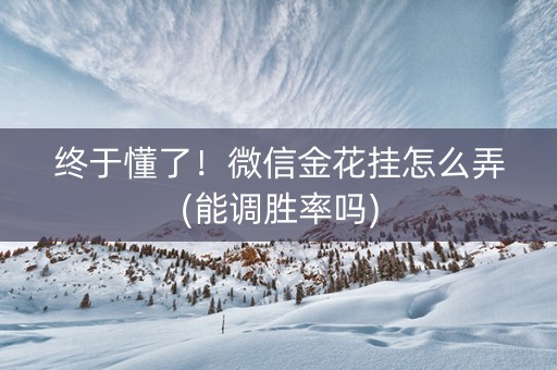 终于懂了！微信金花挂怎么弄(能调胜率吗)
