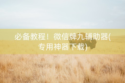 必备教程！微信牌九辅助器(专用神器下载)