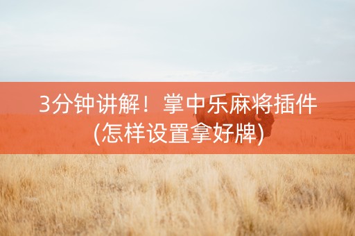 3分钟讲解！掌中乐麻将插件(怎样设置拿好牌)