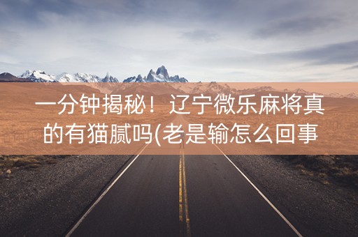 一分钟揭秘！辽宁微乐麻将真的有猫腻吗(老是输怎么回事)