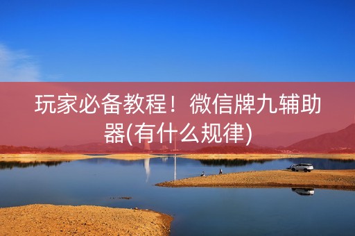 玩家必备教程！微信牌九辅助器(有什么规律)