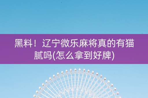 黑料！辽宁微乐麻将真的有猫腻吗(怎么拿到好牌)