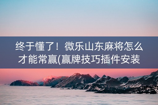 终于懂了！微乐山东麻将怎么才能常赢(赢牌技巧插件安装)
